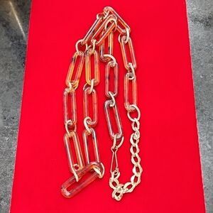 Tortoise and Chain Link Silver Tone Long Necklace